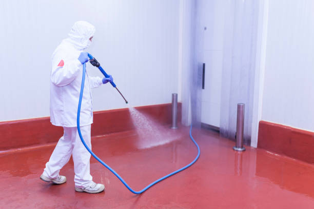 Best Graffiti Removal  in Belterra, TX